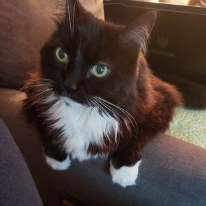 Meet your Posher, Lisa